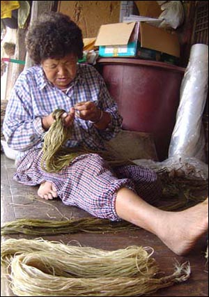 삼을 째고 있는 신난영 할머니. 할머니는 삼베 길쌈으로 청춘을 다 보냈다. 